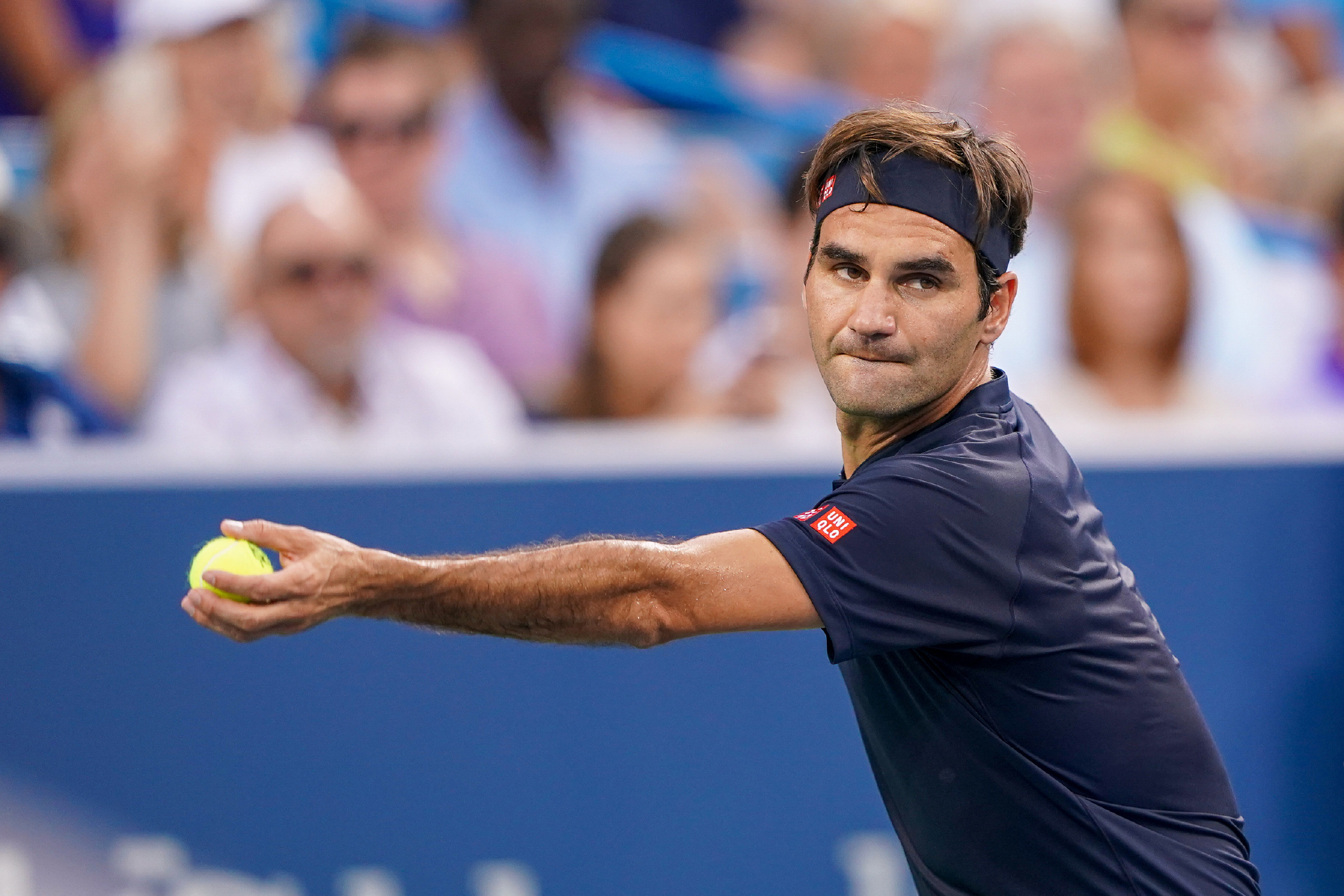 阵容给予的 阵容给予的